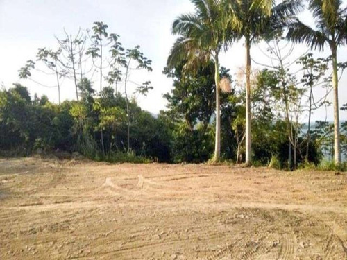 Imagem 19 de 26 de Terreno !! - Tr023 - 3296029