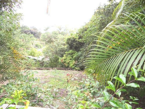 Imagem 19 de 21 de Chácara À Venda, 2000 M² Por R$ 550.000,00 - Chácaras Fernão Dias - Atibaia/sp - Ch0084