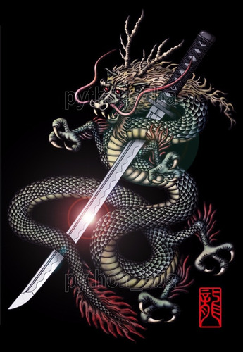 Hermosos Pósters Katanas Dragones Guerreros Etc - 42x30