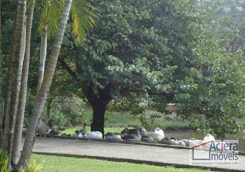 Imagem 12 de 13 de Palos Verdes - Lote Com Vista Para O Lago. - Te0005