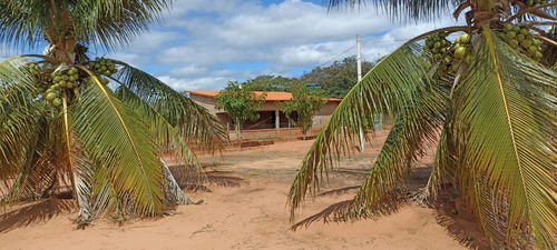 Sítio Com 2 Casas, Água, Internet E Energia - Manga-mg - Ideal Para Lazer Ou Criação