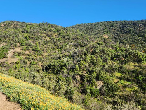 Parcela Arrayán: Serenidad Y Vistas De Ensueño
