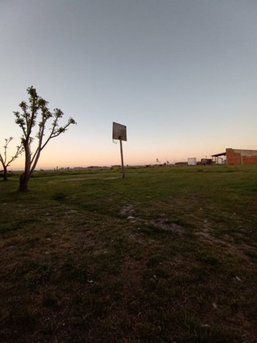 Imagen 17 de 23 de Terreno En Venta En Domselaar