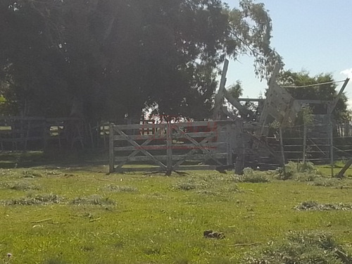 Imagen 5 de 15 de Venta,de Importante Campo En Roberto. J. Payro, Partido De Magdalena.