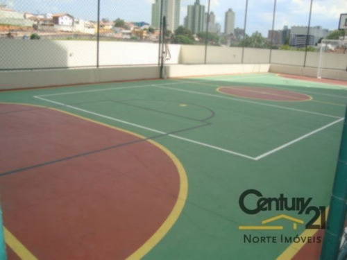 Imagem 6 de 7 de Apartamento, Venda, Vila Mazzei, Sao Paulo - 5066 - V-5066