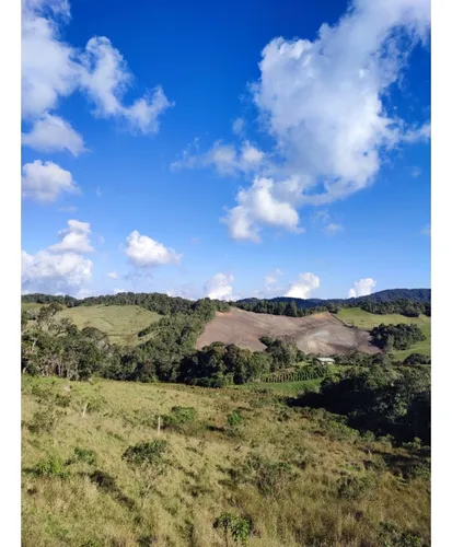Finca En Venta Carmen De Viboral, Vía La Unión Antioquia 50 Cuadras.