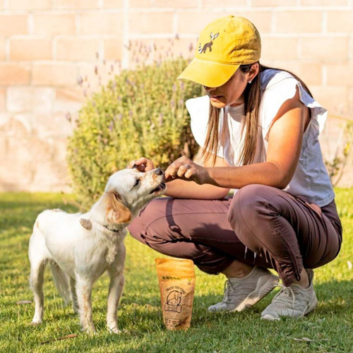 Imagen 3 de 8 de Premios Para Perro Naturales Qkis Paquete De 4