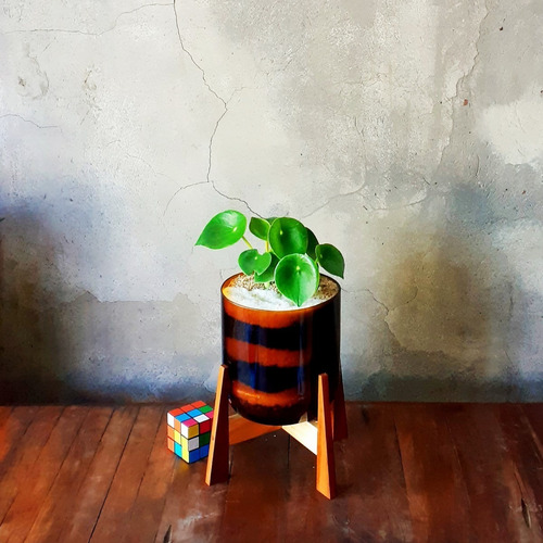 Planta Interior Cuchara Little Terrario 16 Con Soporte