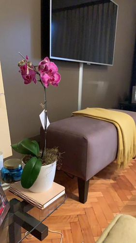 Imagen 23 de 25 de Departamento - Belgrano