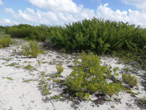 Imagen 10 de 16 de Oportunidad!! Terreno Frente Al Mar Mahahual-rio Indio P2699