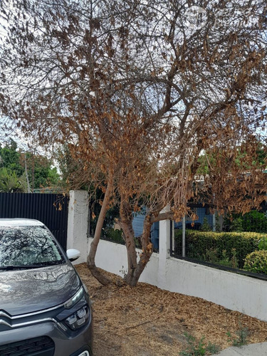 Parcela En Venta En San Felipe