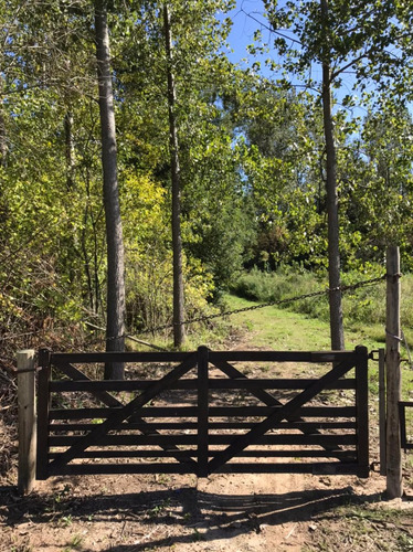 Quinta De 7,6 Hectáreas Con Acceso Terrestre Y Fluvial, Con Cabaña Y Deck.