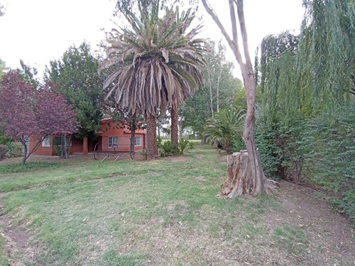 Finca En Venta San Rafael Mendoza - Colonia Elena