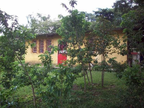 Imagen 6 de 15 de Finca En Venta. Gran Oportunidad.