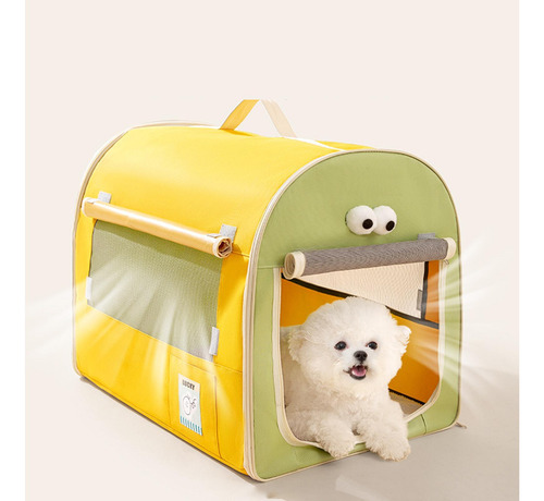 Cão Caixa De Carro Viagem Filhote De Amarelo E Verde