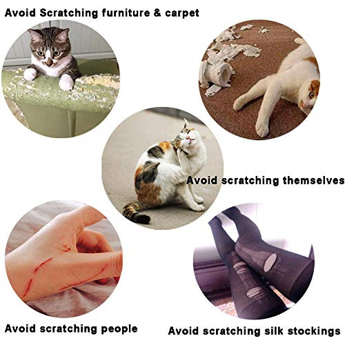 100pcs Cat Nail Caps / Tips Ymccool Pet Cat Kitty Soft Claws