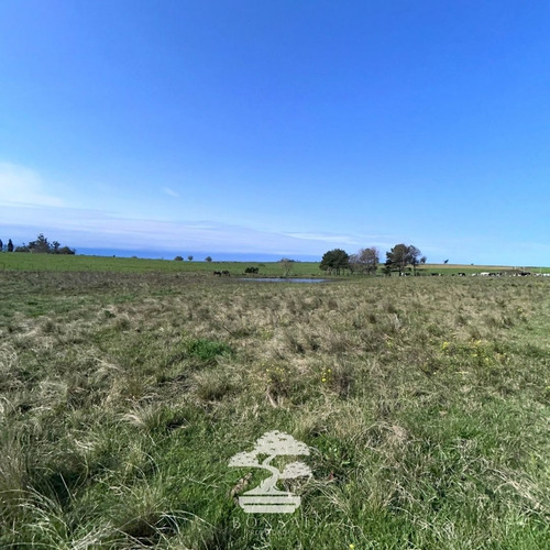 Venta De Chacra Con Casa Ruta 5 Florida Mp.
