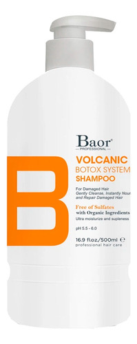 Shampoo Baor B Professional Volcanic Mud