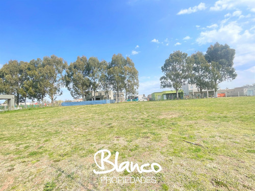 Terreno Lote En Venta En Santo Tomas, Pilar, G.b.a. Zona Norte