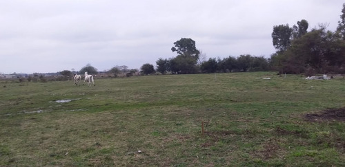Amplios Lotes De Una Hectarea, Entrando A San Vicente!!!! Ideal Inversor, Amplios Rubros, Cabañas, Escuela, Polideportivo, Chacra, Amplia Casaquinta. Excelente Oportunidad!!!