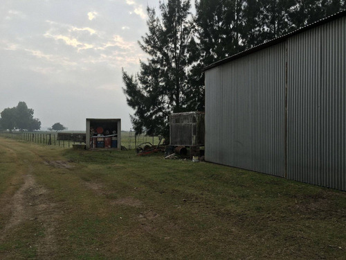 Imagen 5 de 21 de 390 Has. Campo Ganadero A Tranquera Cerrada
