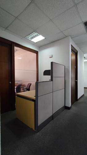 Imagen 11 de 18 de Se Vende Oficina 1300m2,160p,11b La Castellana