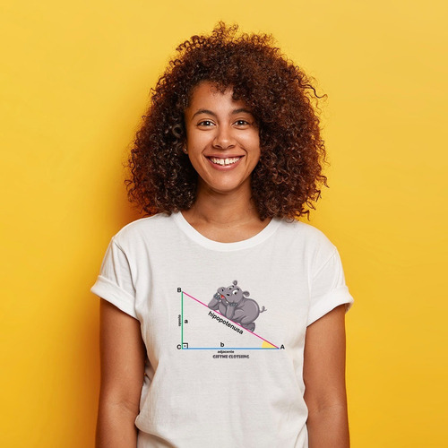 Camiseta Personalizada Hipopotenusa - Matemática - Divertida