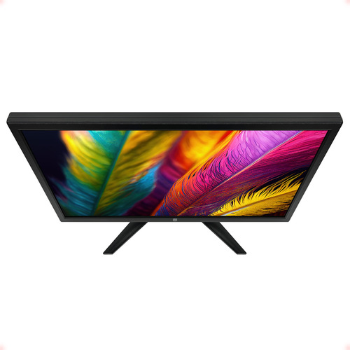 Monitor 19 Polegadas Led Widescreen Hdmi Vga L2f