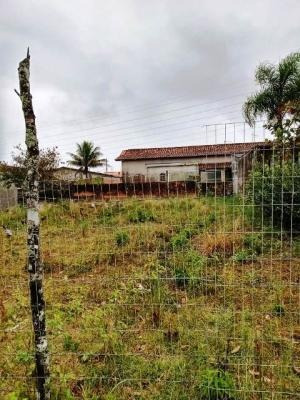 Imagem 5 de 5 de Terreno Lado Praia Medindo 130 Mts Em Itanhaém Litoral Sul