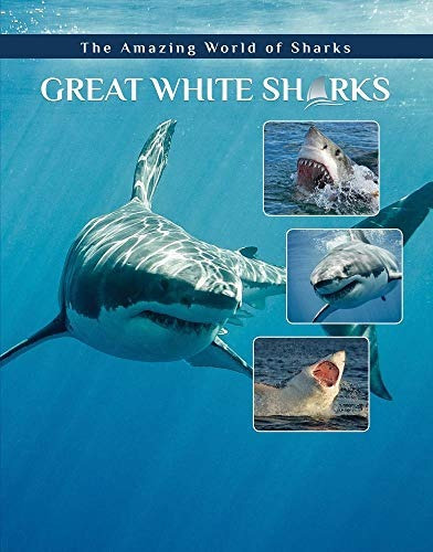 Great White Sharks (amazing World Of Sharks)