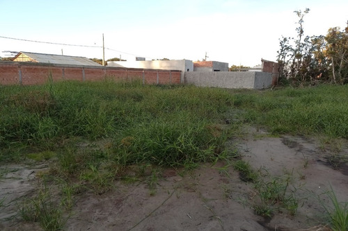 Imagem 6 de 14 de Terreno - 1547t - 69232909