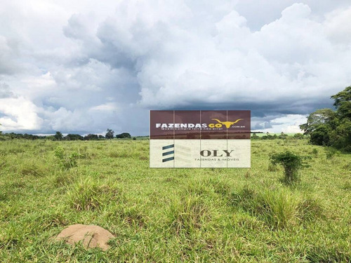 Imagem 7 de 8 de Fazenda Extra ! 54 Alqueires , Indiara-go !! - 333