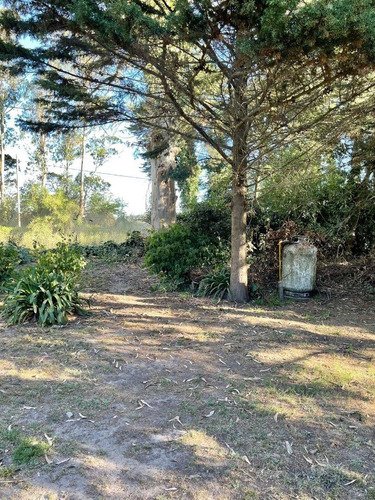 Imagen 18 de 30 de Casa Quinta Sobre Lote De 5.000 M2 La Gloria De La Peregrina