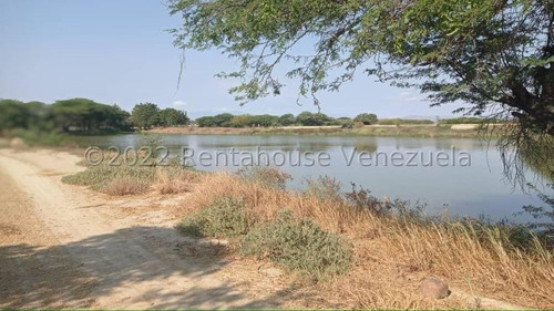 Imagen 19 de 30 de Fina En Venta Quibor Estado Lara, 04245937542