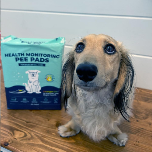 Health Monitoring Pee Pads Genius Litter Para Perros, 30 X 2