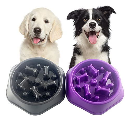 Slow Feeder Dog Bowl Anti Gulping Healthy Eating Intera...