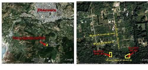 Imagen 2 de 3 de Se Venden Dos Terrenos, Zitacuaro