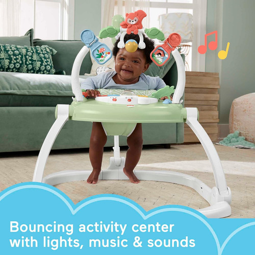 Fisher-price Baby Bouncer Spacesaver Jumperoo Activity Ce...