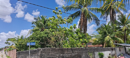 Vende Se Casa Cidade Dias D'ávila Bahia