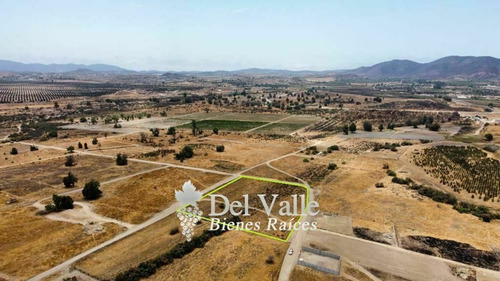 Imagen 5 de 6 de 2,645 M2 El Porvenir Valle De Guadalupe