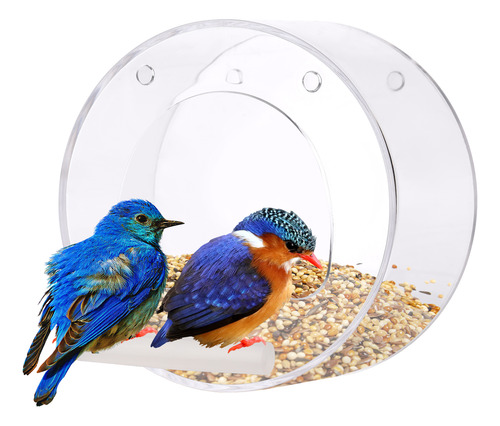 Alimentador De Aves Con Ventana Transparente