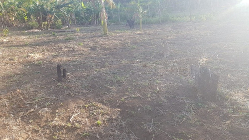 Imagen 11 de 30 de Se Vende Terreno Favorable Con Agua Y Luz Y Casita