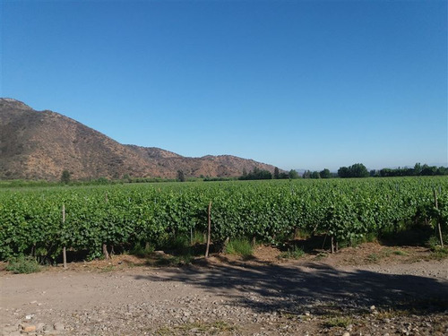 Agrícola En Venta En Isla De Maipo