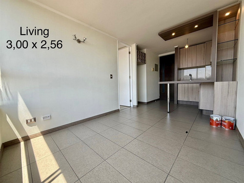 Depto 1 Dorm Y Bodega 30m2 Vista Norte Av Matta Con Carmen