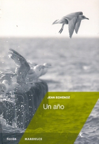 Un Año - Jean Echenoz