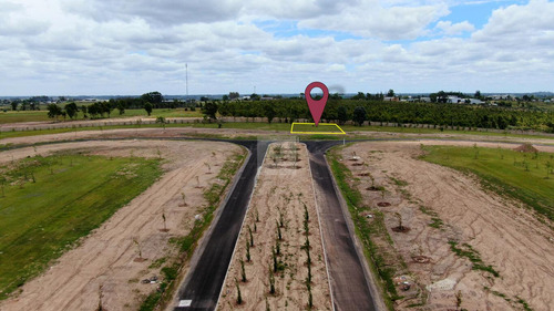 Terreno En Los Olivos De Los Horneros - Reventa Etapa 1