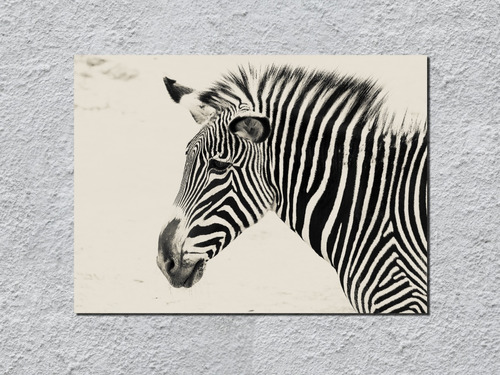 Cuadro Decorativo Zebra Perfil