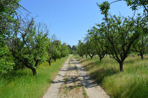 Oferta Parcela Con Acceso Privado Al Lago Rapel, 4 Casas.