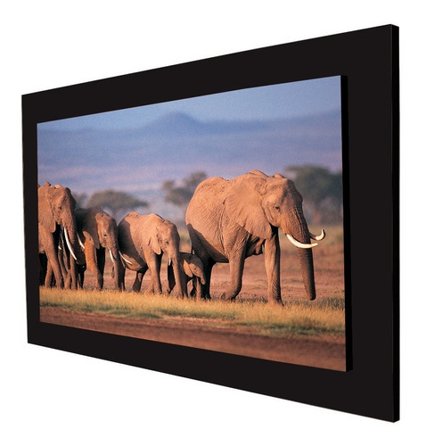 Cuadro 60x40cms Decorativo Elefante 1!!!+envío Gratis