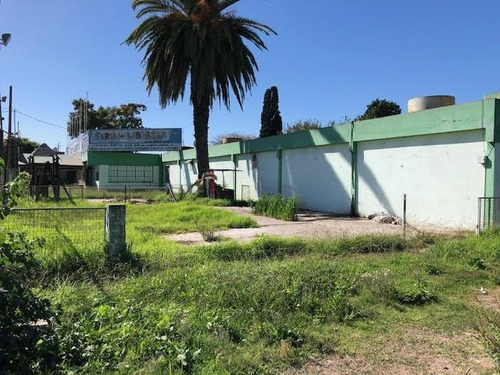 Imagen 7 de 22 de Inmueble Comercial - Alquiler - 2000 M2 - Merlo - Libertad - Lote - Local - Deposito